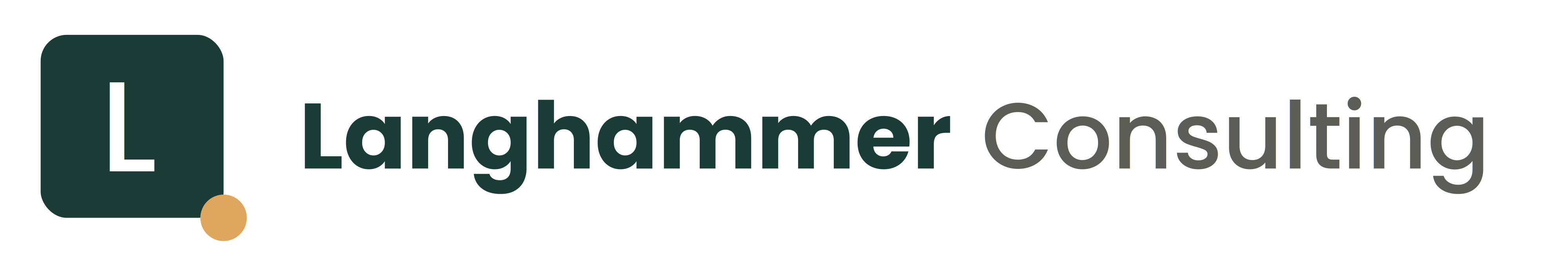 Langhammer Consulting Logo